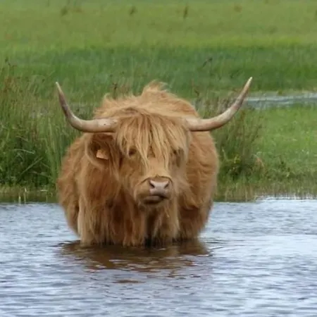 Vakantiehuis Succom'baie Au De La Maye *