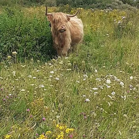 Vakantiehuis Succom'baie Au De La Maye Le Crotoy