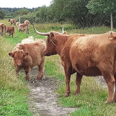 Vakantiehuis Succom'baie Au De La Maye *