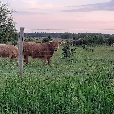 Succom'baie Au De La Maye לה קרוטואה