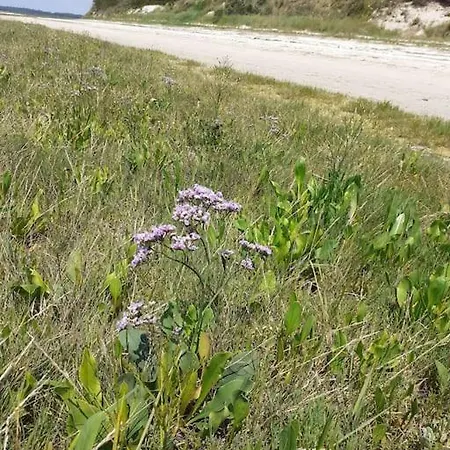 Succom'baie Au De La Maye